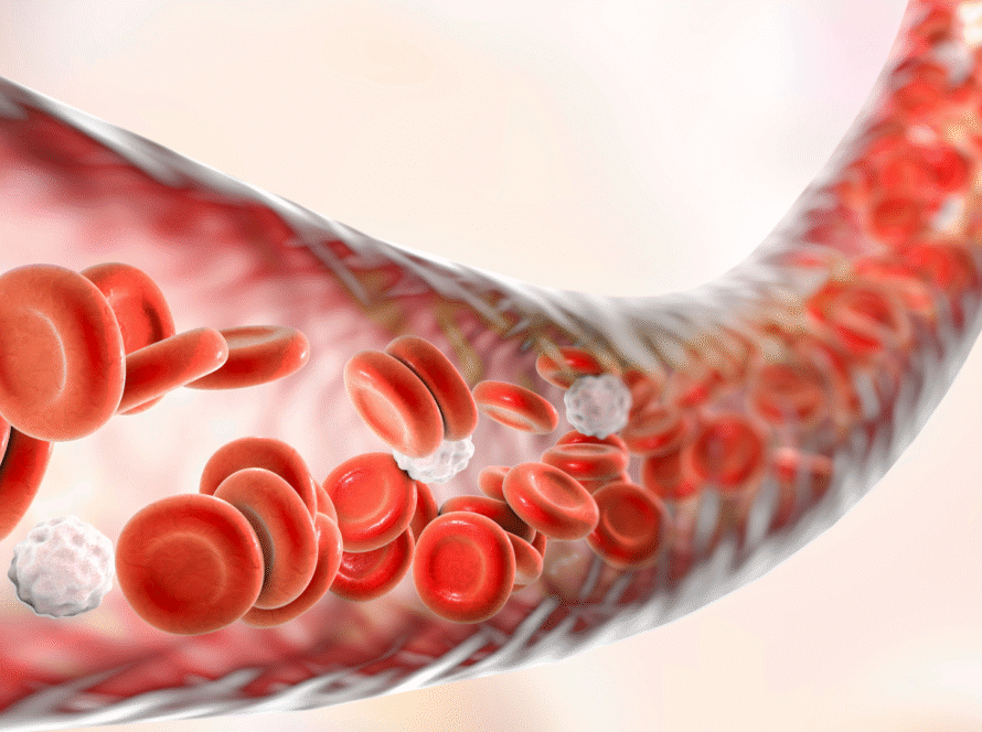 How Natural Supplements Can Improve Your Blood Circulation