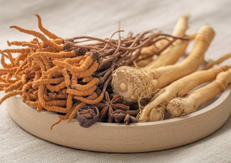 Ginseng-and-CordyCeps
