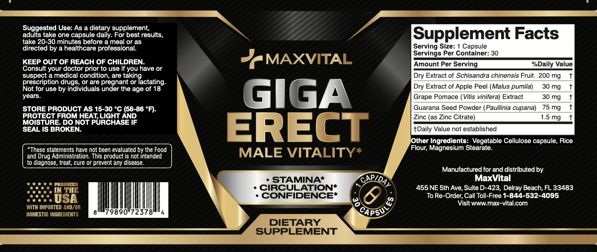 MaxVital Giga Erect Male Vitality Supplement Box